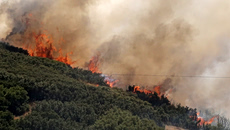 Θεσσαλονίκη: Γεωργικές εργασίες με χρήση καταστροφέα έκανε ο 51χρονος που συνελήφθη για τη φωτιά στο Δερβένι