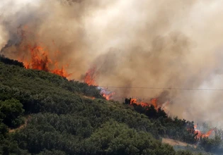 Θεσσαλονίκη: Γεωργικές εργασίες με χρήση καταστροφέα έκανε ο 51χρονος που συνελήφθη για τη φωτιά στο Δερβένι