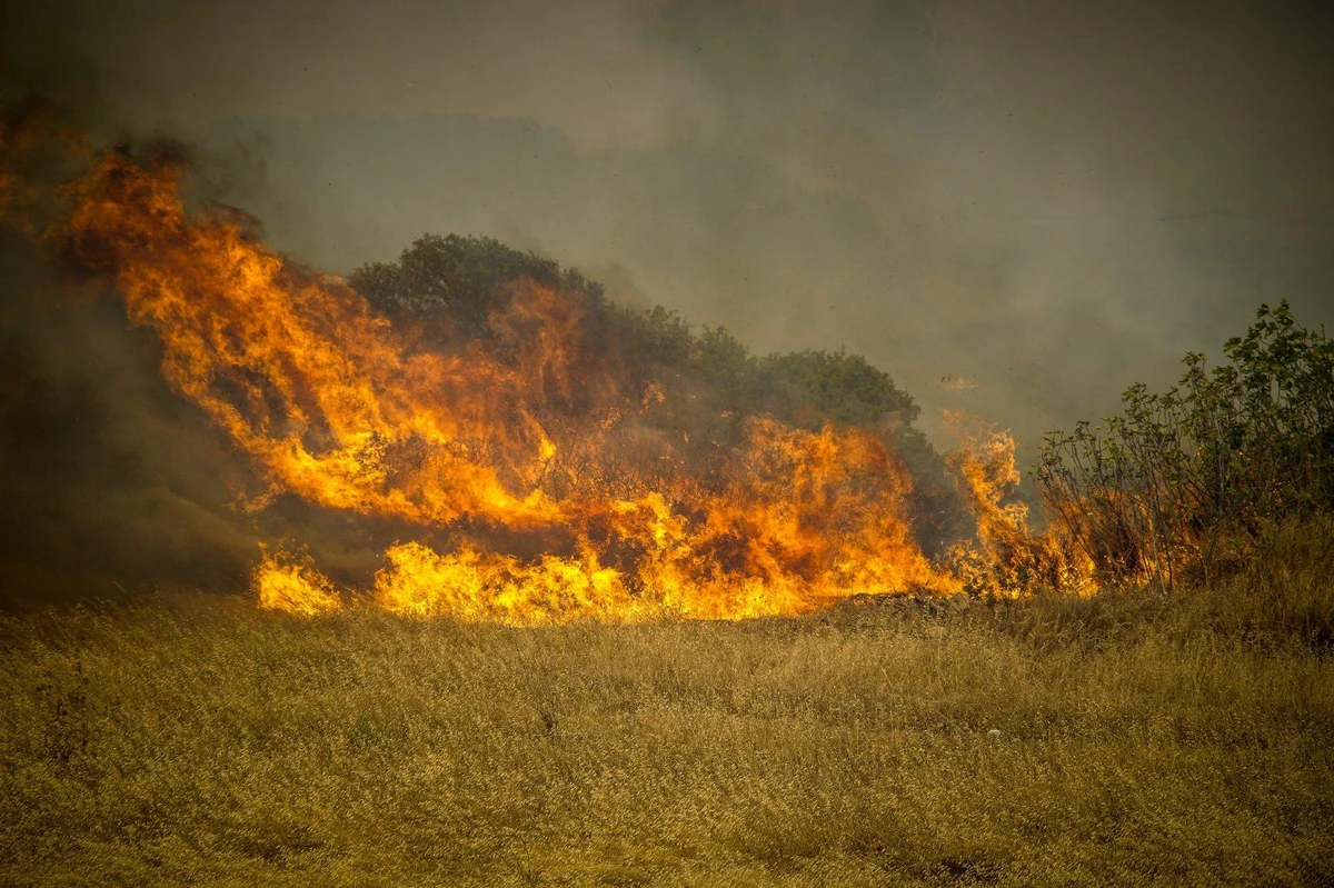 Συναγερμός στην Πυροσβεστική για φωτιά στο Κιλκίς
