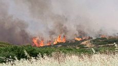 Φωτιά σε χαμηλή βλάστηση στο Κιλελέρ – Σηκώθηκαν δύο ελικόπτερα