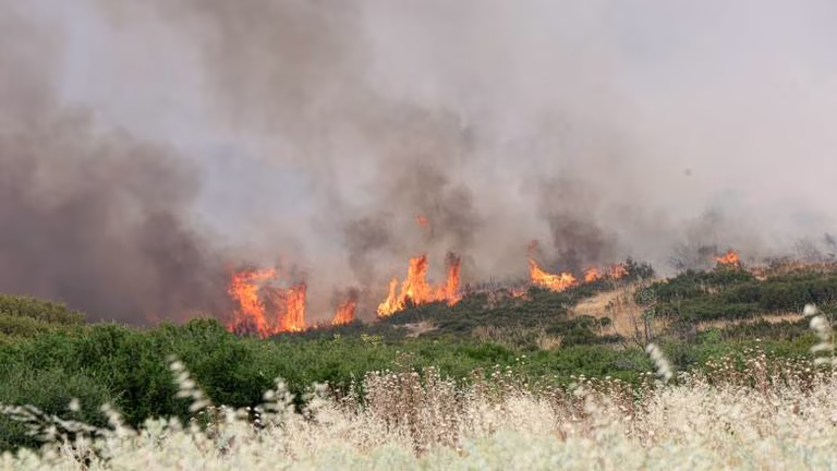 Φωτιά σε χαμηλή βλάστηση στο Κιλελέρ – Σηκώθηκαν δύο ελικόπτερα