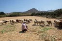 Αγρότες: Πώς θα κάνουν δωρεάν διακοπές