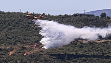 Πόσο βοήθησε η πρόσφατη κακοκαιρία στη μείωση της ευφλεκτότητας των δασών