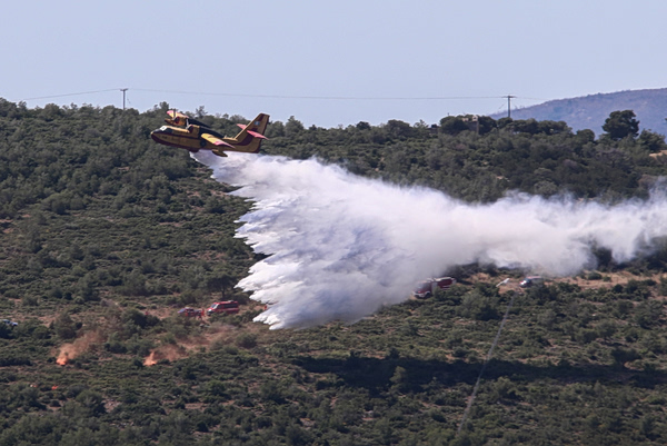 Πόσο βοήθησε η πρόσφατη κακοκαιρία στη μείωση της ευφλεκτότητας των δασών
