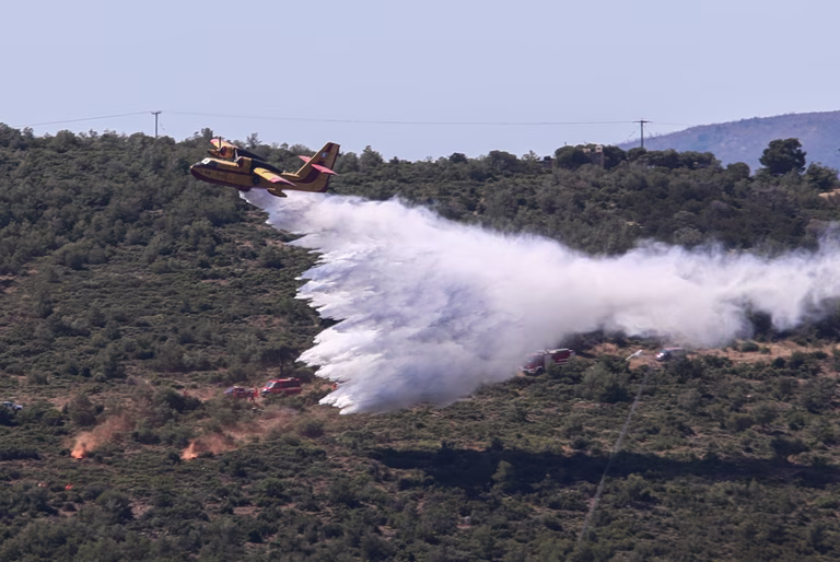 Πόσο βοήθησε η πρόσφατη κακοκαιρία στη μείωση της ευφλεκτότητας των δασών