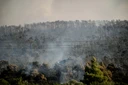 «Σαφώς βελτιωμένη» η εικόνα της φωτιάς στην Οινόη – Διάσπαρτες ενεργές εστίες, στη μάχη οι δασοκομάντος