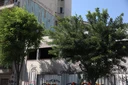 Κυψέλη: Συνεχίζεται το θρίλερ με τη διαμελισμένη σορό στη βαλίτσα – Στο «μικροσκόπιο» υποθέσεις εξαφανισμένων γυναικών