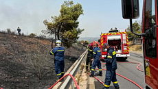 Πολιτική Προστασία: 11 κλήσεις για θερμές εργασίες δέχθηκε η Πυροσβεστική – 50 φωτιές αντιμετωπίστηκαν το τελευταίο 24ωρο