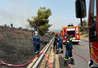 Πολιτική Προστασία: 11 κλήσεις για θερμές εργασίες δέχθηκε η Πυροσβεστική – Αντιμετωπίστηκαν 50 φωτιές το τελευταίο 24ωρο