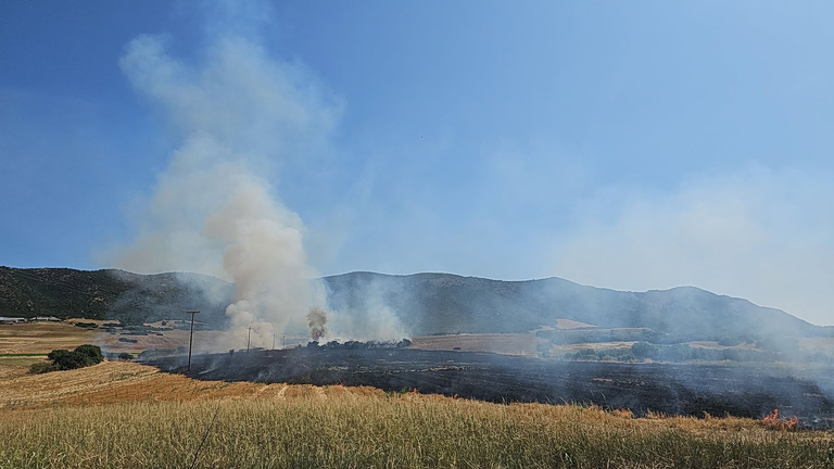 Φωτιά στη Γαλάτιστα Χαλκιδικής - Σηκώθηκαν 6 εναέρια μέσα