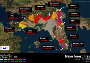 Nearly 40% of Attica’s Forests Burned in Nine Years