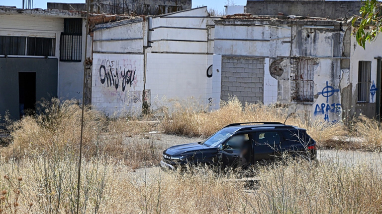 Ε.Σ.Α.μεΑ: Χυδαίο victim blaming η μετακύλιση των ευθυνών από τα όπλα των αστυνομικών στη μητέρα του Θοδωρή