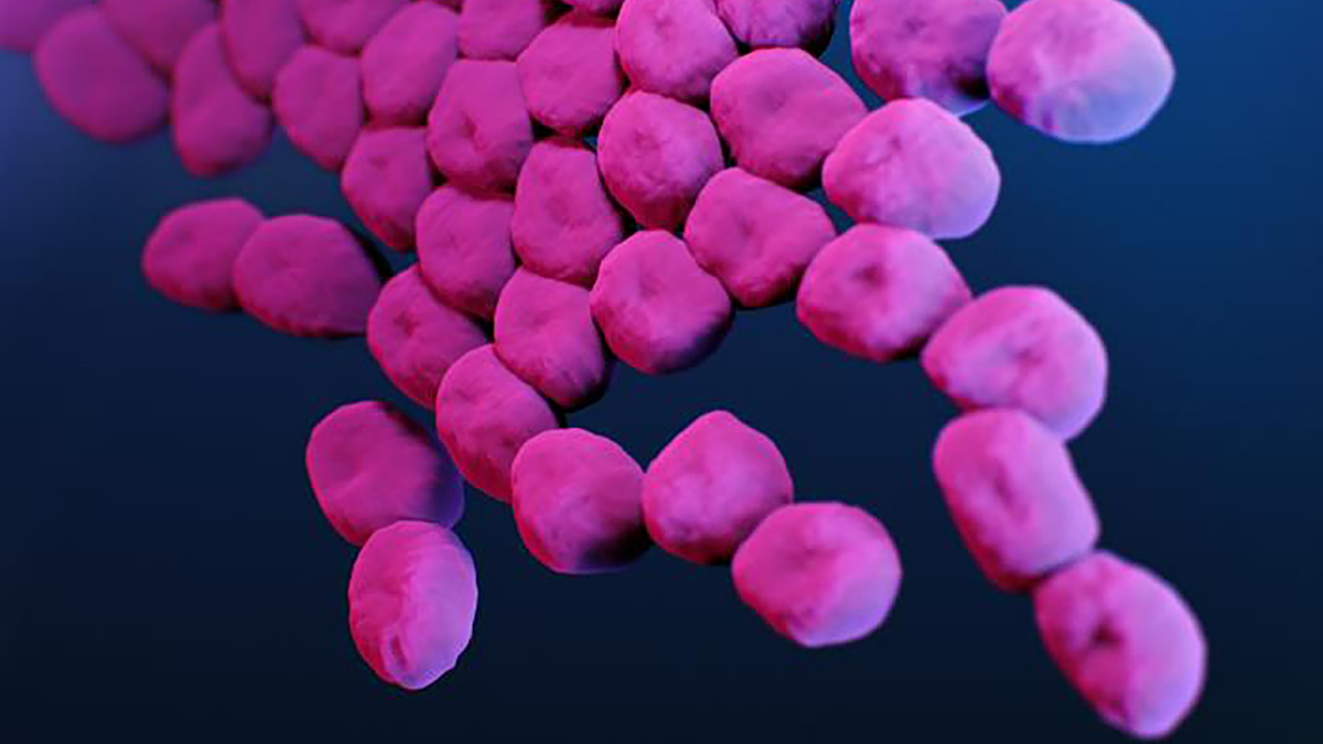 Βακτήρια Acinetobacter baumannii σε ψευδοχρωματική εικόνα ηλεκτρονικού μικροσκοπίου (US CDC)