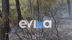 Φωτιά σε δασική έκταση στην Εύβοια – Πιθανότατα προκλήθηκε μετά από πτώση κεραυνού