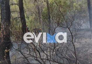 Φωτιά σε δασική έκταση στην Εύβοια – Πιθανότατα προκλήθηκε μετά από πτώση κεραυνού