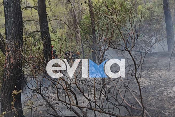 Φωτιά σε δασική έκταση στην Εύβοια – Πιθανότατα προκλήθηκε μετά από πτώση κεραυνού