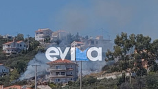 Εύβοια: Φωτιά στο Αλιβέρι – Δίπλα σε σπίτια οι φλόγες