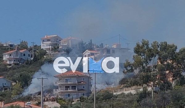 Εύβοια: Φωτιά στο Αλιβέρι – Δίπλα σε σπίτια οι φλόγες