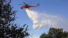 Πυρκαγιά σε αγροτική έκταση στην περιοχή Ύπατο Θήβας
