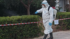 Κρούσμα ιού του Δυτικού Νείλου στη Γλυφάδα: Ξεκίνησαν οι ψεκασμοί στην περιοχή