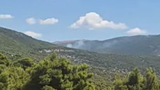 Συναγερμός για φωτιά σε δασική έκταση στα Βίλια