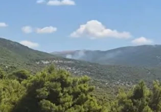 Συναγερμός για φωτιά σε δασική έκταση στα Βίλια