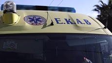 Βριλήσσια: Σκύλος επιτέθηκε σε 66χρονο τον τραυμάτισε και σκότωσε το σκυλάκι του – Χειροπέδες στην ιδιοκτήτρια