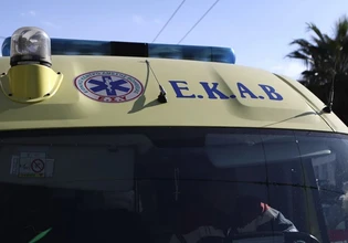 Βριλήσσια: Σκύλος επιτέθηκε σε 66χρονο τον τραυμάτισε και σκότωσε το σκυλάκι του – Χειροπέδες στην ιδιοκτήτρια