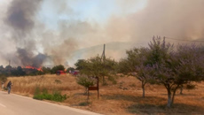 Φωτιά στην Επίδαυρο – Σηκώθηκαν τέσσερα εναέρια