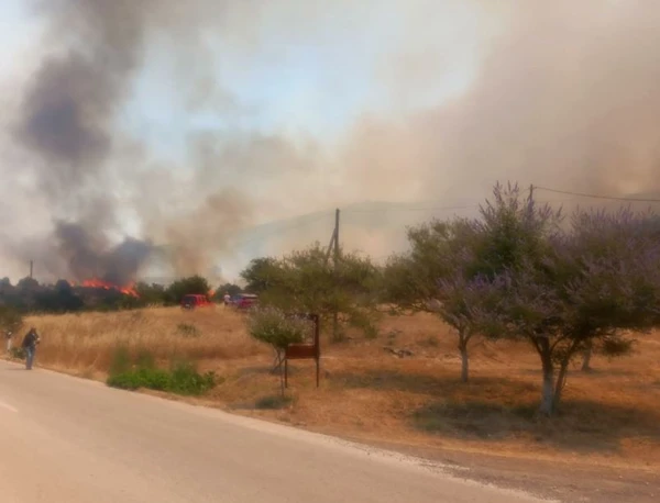 Φωτιά στην Επίδαυρο – Σηκώθηκαν τέσσερα εναέρια