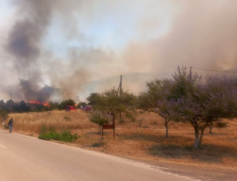 Φωτιά στην Επίδαυρο - Ενισχύθηκαν οι δυνάμεις της Πυροσβεστικής