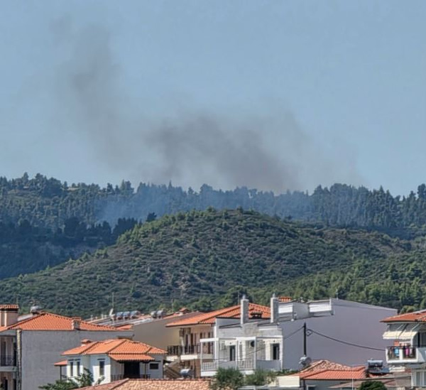 Φωτιά σε δασική έκταση στη Χαλκιδική – Μεγάλη κινητοποίηση της Πυροσβεστικής
