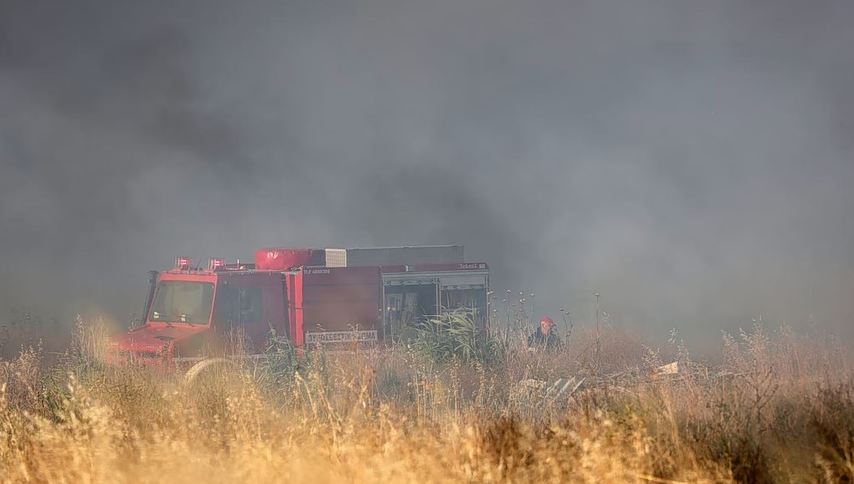 Φθιώτιδα: Ενισχύθηκαν οι δυνάμεις κατάσβεσης για την φωτιά στα Βασιλικά – Πετούν  εφτά εναέρια μέσα
