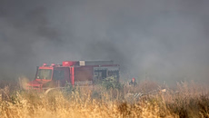 Φθιώτιδα: Ενισχύθηκαν οι δυνάμεις κατάσβεσης για την φωτιά στα Βασιλικά – Πετούν  εφτά εναέρια μέσα