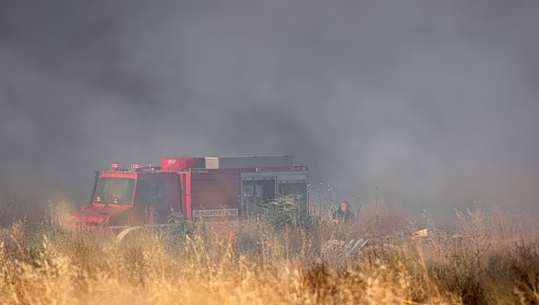 Φθιώτιδα: Ενισχύθηκαν οι δυνάμεις κατάσβεσης για την φωτιά στα Βασιλικά – Πετούν  εφτά εναέρια μέσα