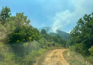 Καρδίτσα: Φωτιά στο Μουζάκι – Σηκώθηκαν 5 εναέρια μέσα