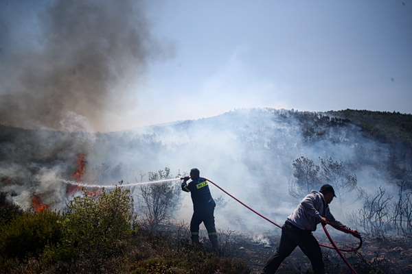 Εύβοια: Σύλληψη δύο ανηλίκων για πρόκληση πυρκαγιάς στην Ερέτρια