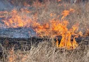 Συνελήφθη 27χρονος για φωτιά που προκάλεσε από εγκατάσταση ρευματοκλοπής στο Κορωπί