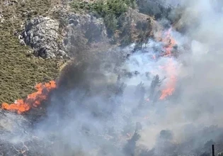 Κρήτη: Συνελήφθη άνδρας για τη μεγάλη φωτιά στο Μελιδοχώρι – Έκανε εργασίες με τροχό