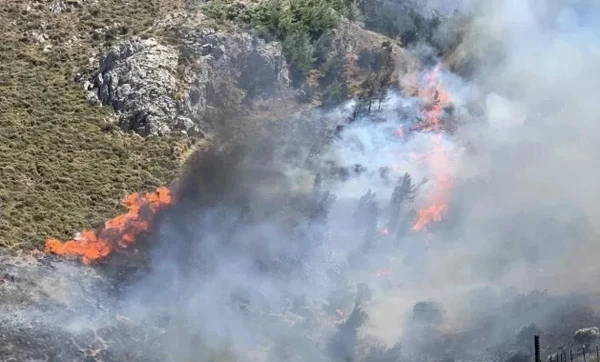 Κρήτη: Συνελήφθη άνδρας για τη μεγάλη φωτιά στο Μελιδοχώρι – Έκανε εργασίες με τροχό