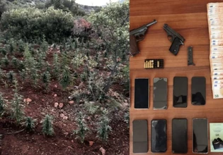 Βοιωτία: Εξαρθρώθηκε εγκληματική οργάνωση, κατασχέθηκαν 1.503 δενδρύλλια κάνναβης – Οκτώ συλλήψεις