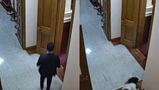 Αλβανία: Βουλευτής αρπάζει απόρρητο έγγραφο για τη συμφωνία με τις ΗΠΑ – Υπάλληλος τον καταδιώκει και πέφτει από τις σκάλες