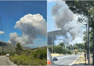 Φωτιά στην Οινόη: Συναγερμός στην Πυροσβεστική – Σηκώθηκαν 12 εναέρια, μήνυμα από το 112