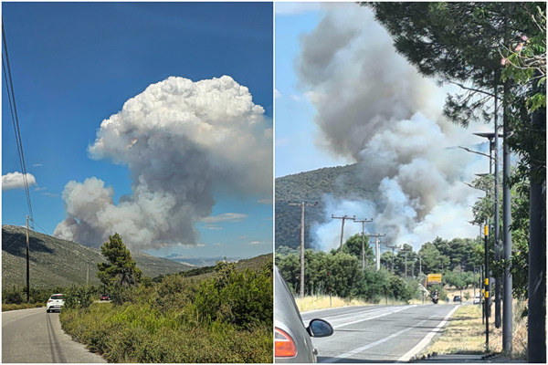 Φωτιά στην Οινόη: Σηκώθηκαν 12 εναέρια, μήνυμα από το 112 – Συνεχείς ρίψεις νερού, κυκλοφοριακές ρυθμίσεις