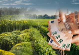 ΑΑΔΕ: Ποιες αγροτικές πληρωμές αναμένονται – Το χρονοδιάγραμμα