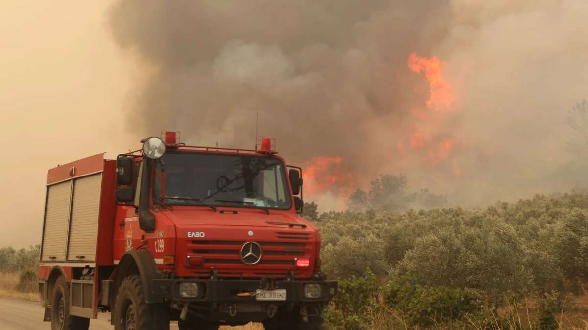 Φωτιά στα Οινόφυτα – Επιχειρούν 4 εναέρια μέσα