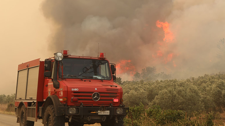 Φωτιά στα Οινόφυτα – Επιχειρούν 4 εναέρια μέσα