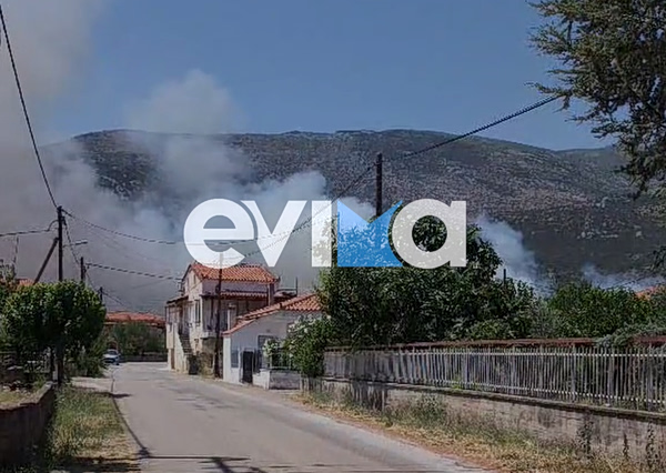 Φωτιά στην Εύβοια: Μήνυμα από το 112 για εκκένωση του χωριού της Επισκοπής