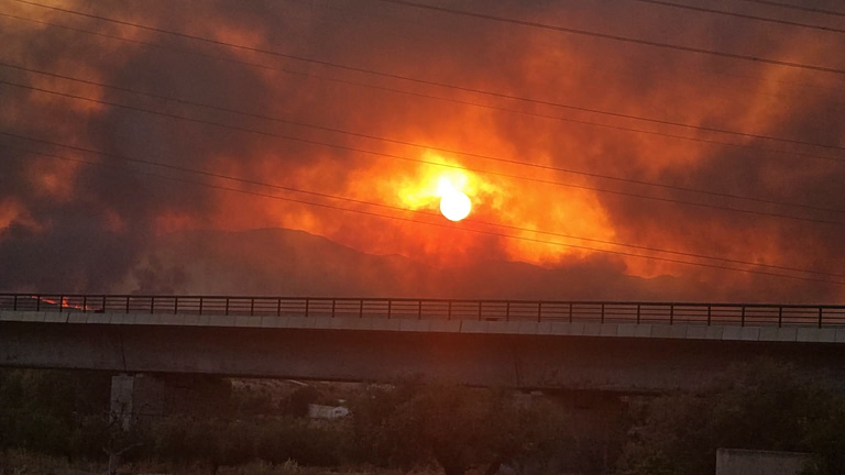 Ισπανία: Στους 12 οι νεκροί από τη δασική πυρκαγιά στην Αλμερία