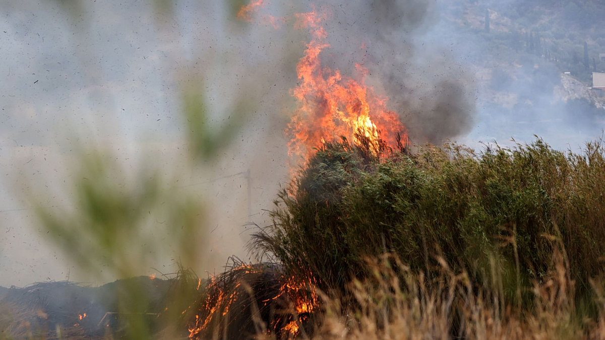 Θεσσαλονίκη: Φωτιά στη Νεοχωρούδα στο Ωραιόκαστρο – Μήνυμα από το 112